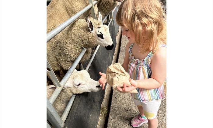 Foel Farm Park